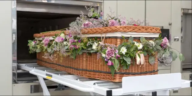 No Service Cremation image